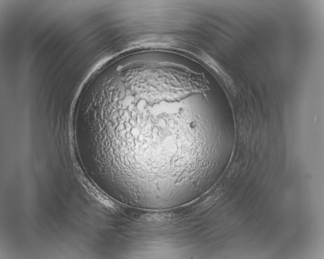 X0000058781240200510171244