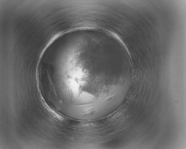 X0000058781243200510171244