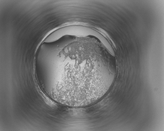 X0000058781244200510171245