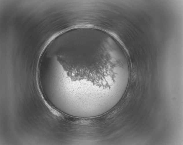 X0000058781245200510171245