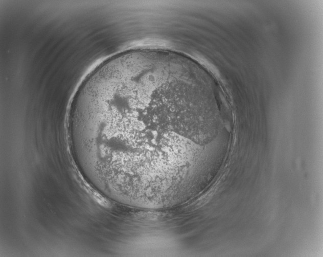 X0000058781248200510171245