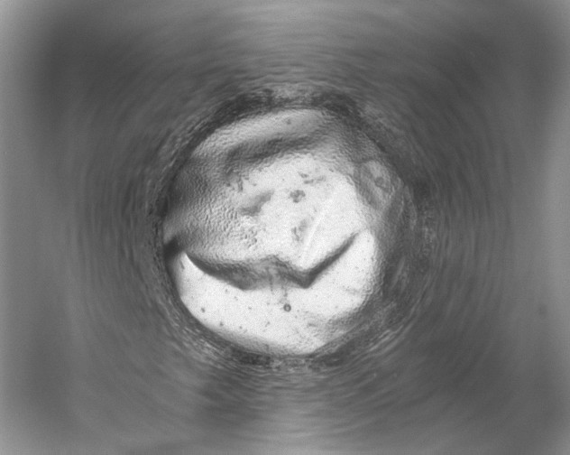 X0000058781249200510171244