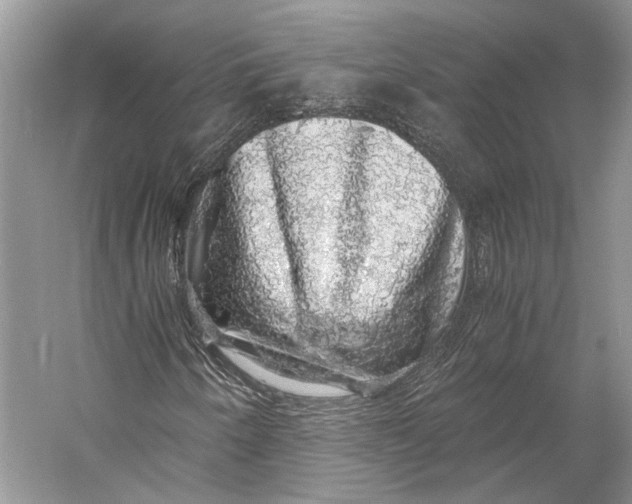 X0000058781250200510171244