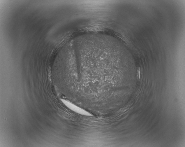 X0000058781251200510171244