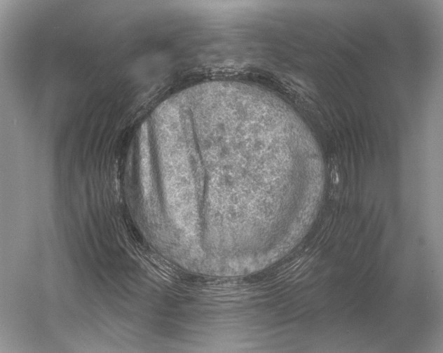 X0000058781252200510171244