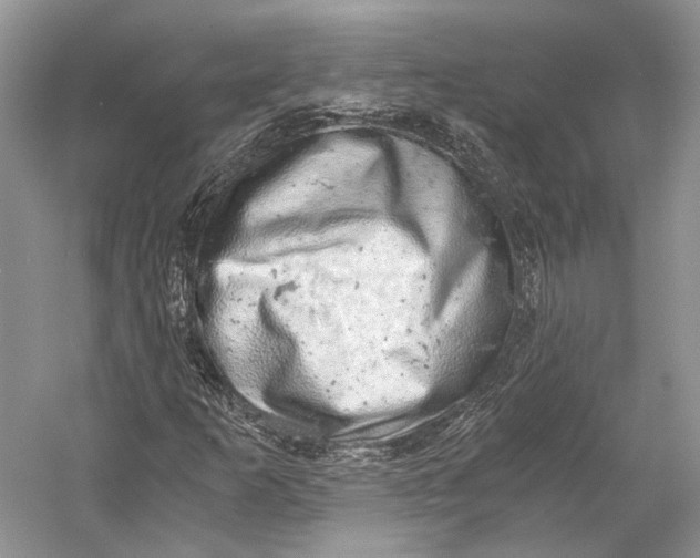 X0000058781253200510171244