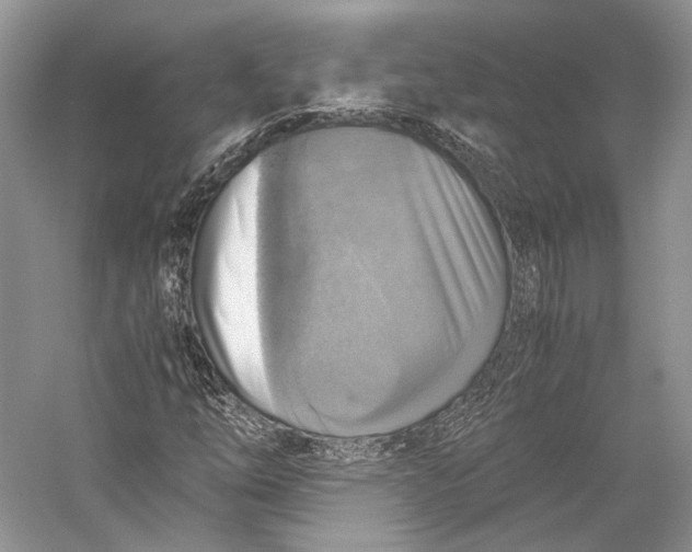 X0000058781254200510171244