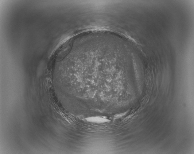 X0000058781255200510171244