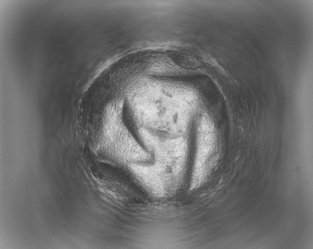 X0000058781256200510171244