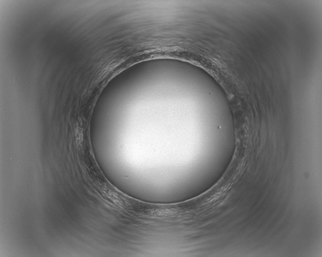 X0000058781257200510171244