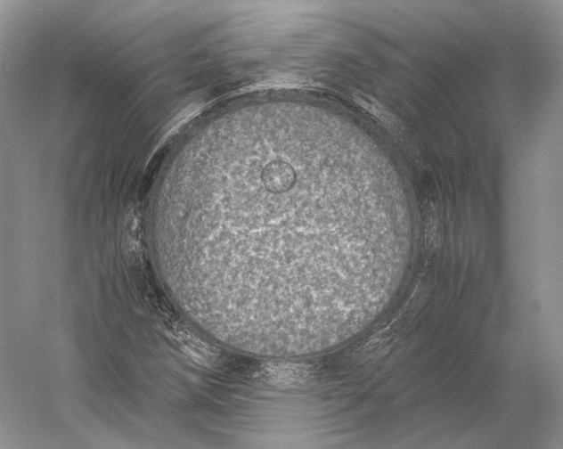 X0000058781258200510171244