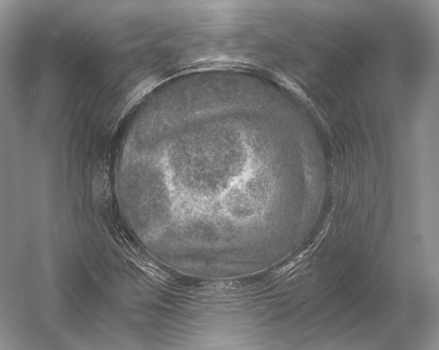 X0000058781259200510171244