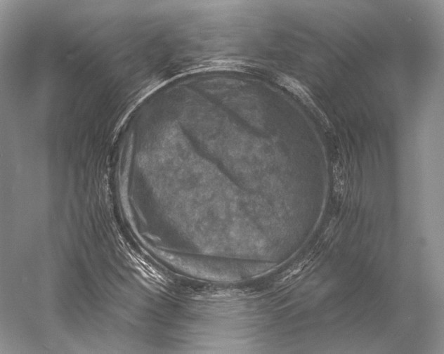 X0000058781260200510171244