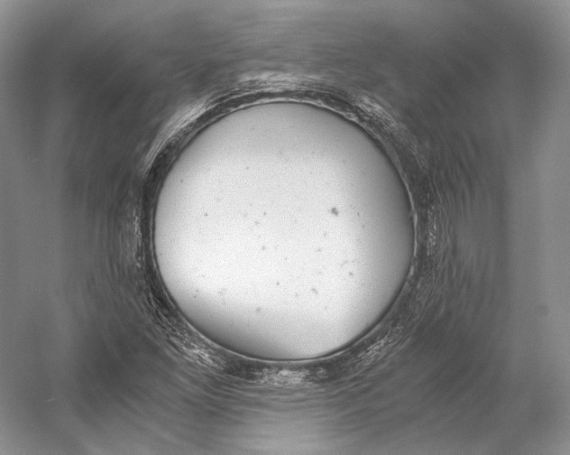 X0000058781261200510171244