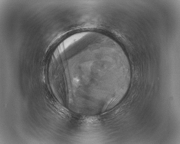 X0000058781262200510171244