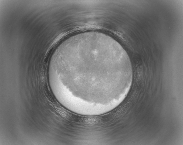 X0000058781266200510171243