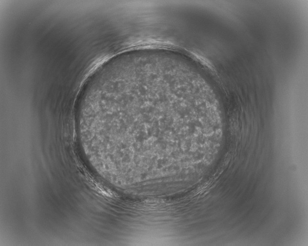 X0000058781267200510171243