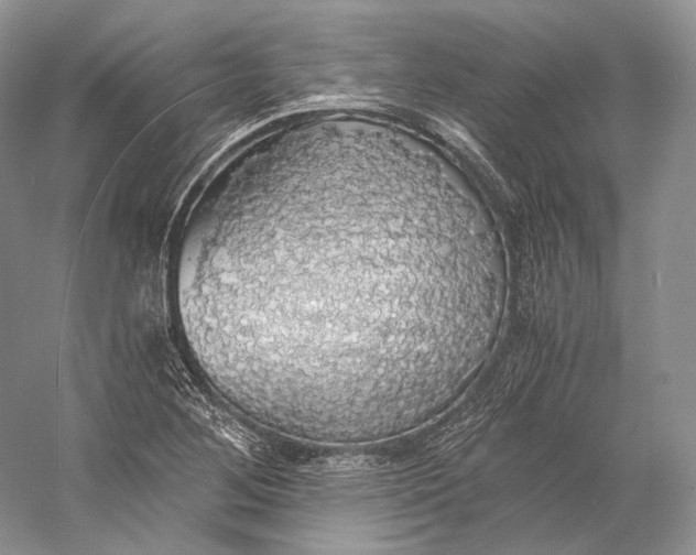 X0000058781268200510171243