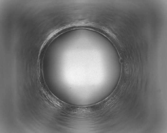 X0000058781270200510171243