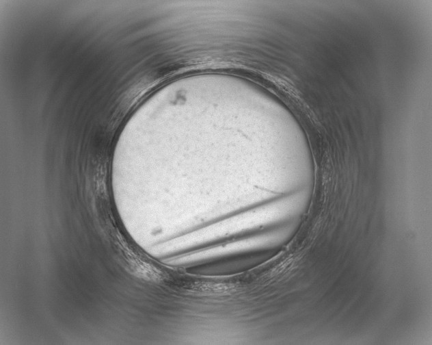 X0000058781273200510171243