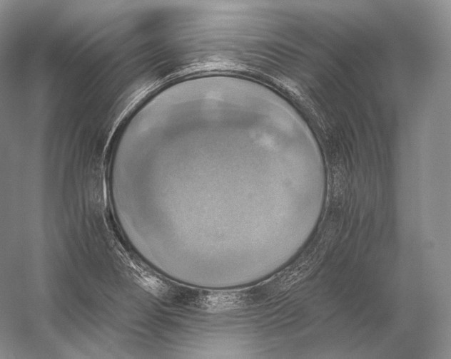 X0000058781274200510171243