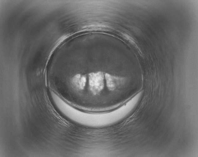 X0000058781275200510171243