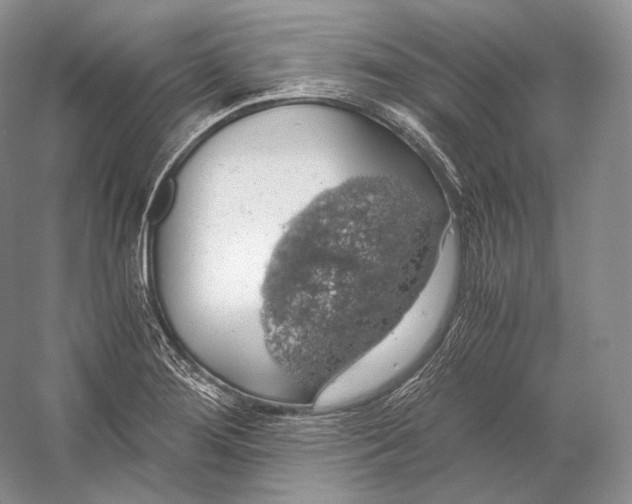 X0000058781276200510171243