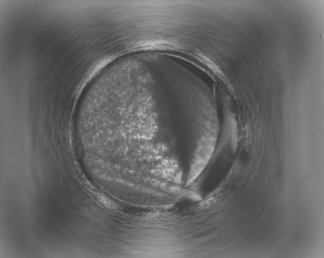 X0000058781277200510171243