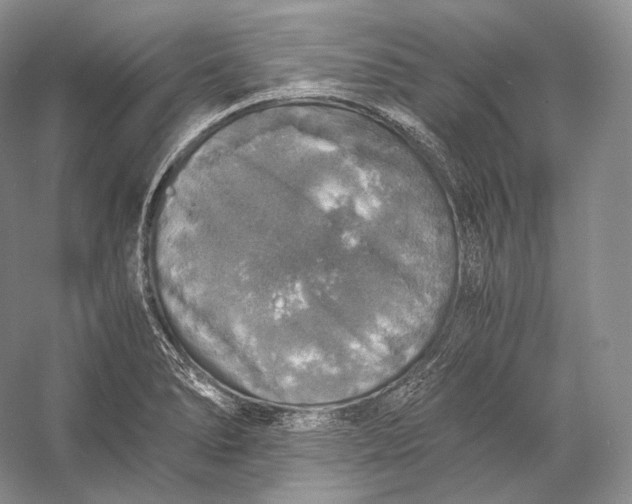 X0000058781278200510171243