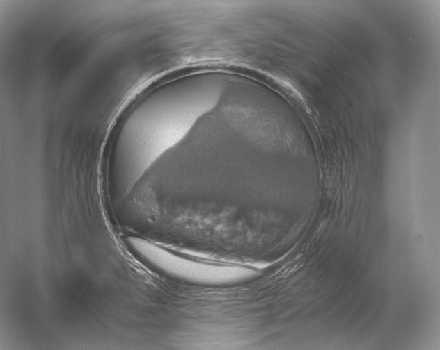 X0000058781279200510171243