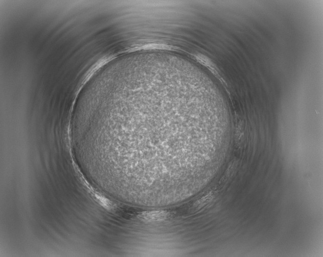 X0000058781282200510171243