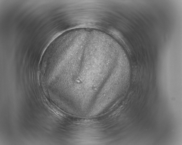 X0000058781284200510171243