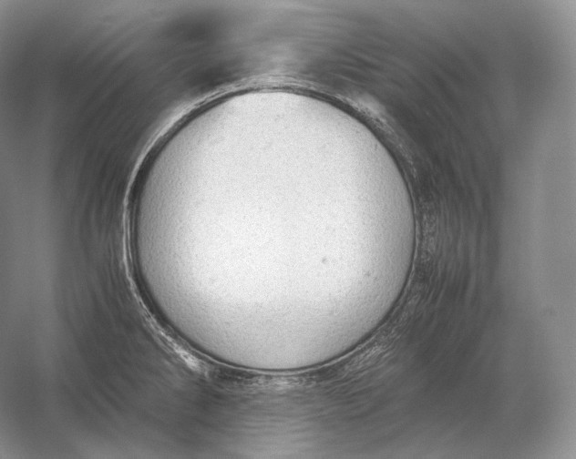 X0000058781286200510171243