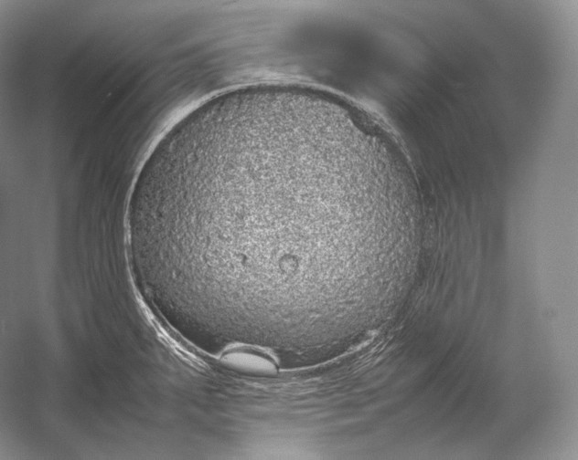 X0000058781287200510171243