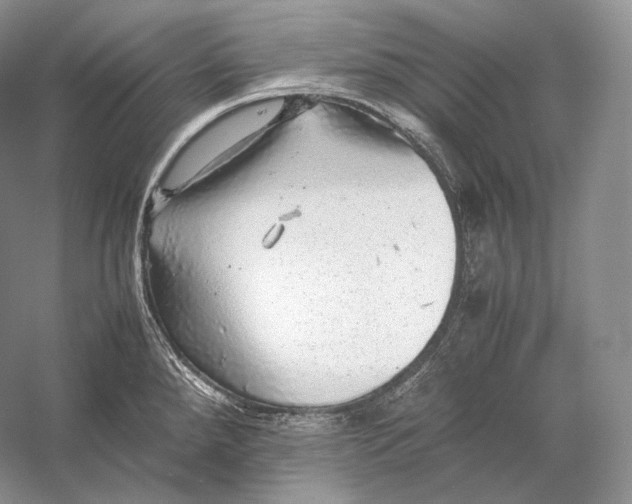 X0000058781288200510171243