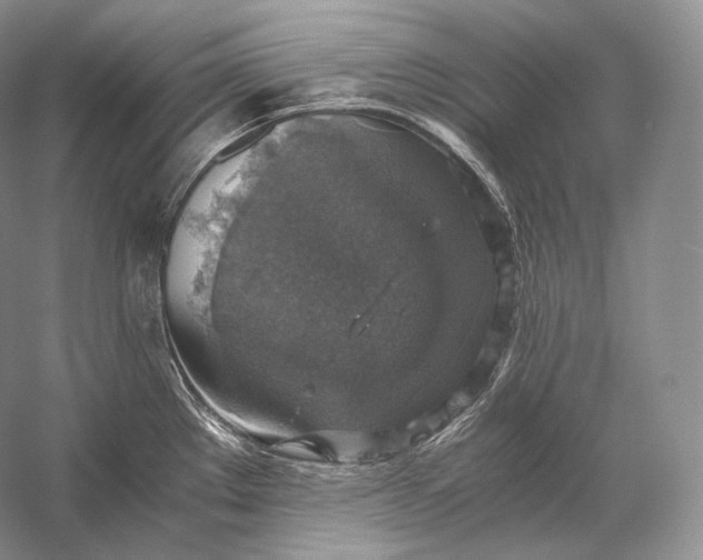 X0000058781289200510171243