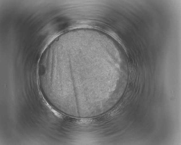 X0000058781290200510171243