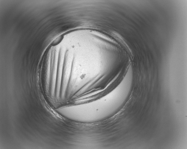 X0000058781292200510171243