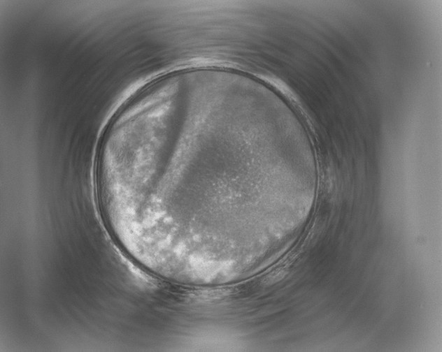 X0000058781294200510171243