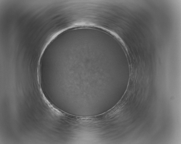 X0000058781295200510171243