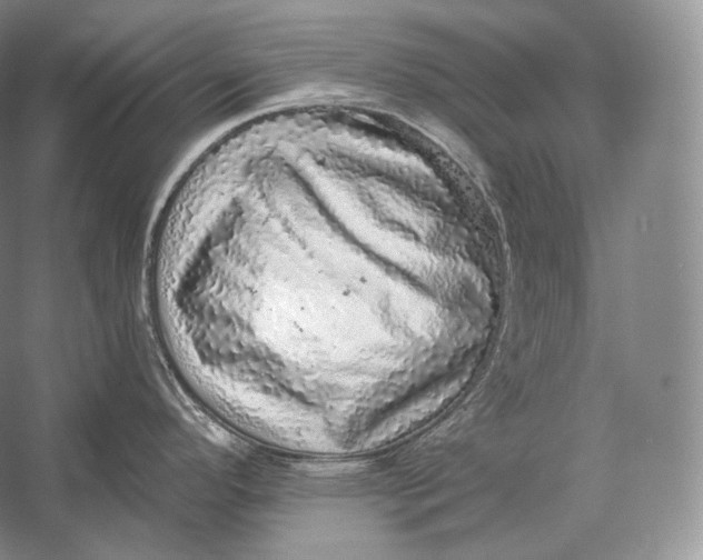 X0000058781296200510171243