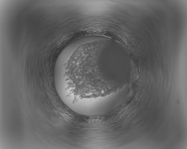 X0000058781297200510171242