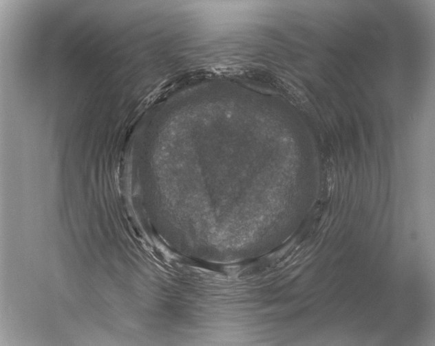 X0000058781298200510171242