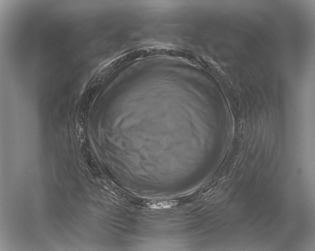 X0000058781303200510171242