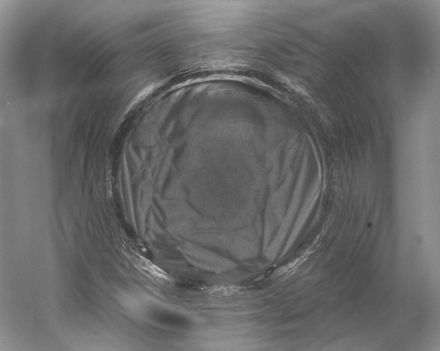 X0000058781306200510171242