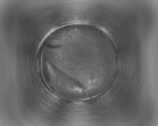 X0000058781310200510171242