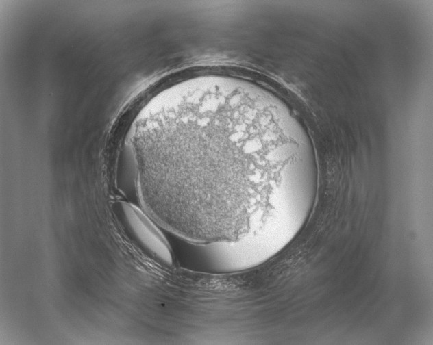 X0000058781311200510171242