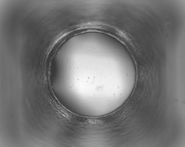 X0000058781312200510171242