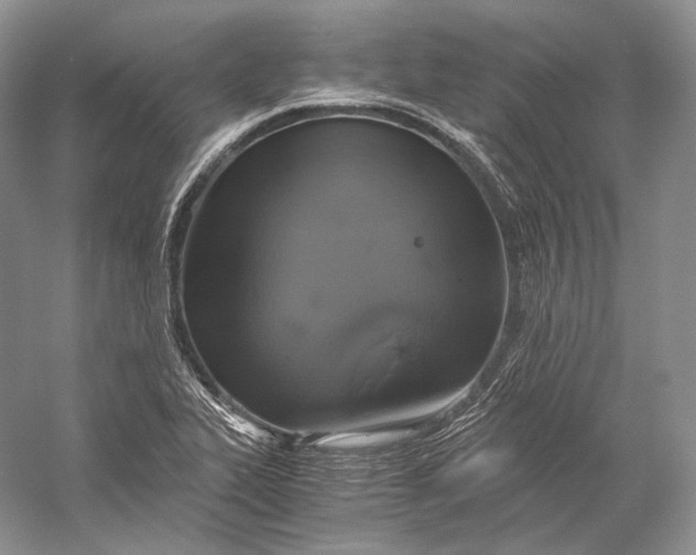 X0000058781319200510171242