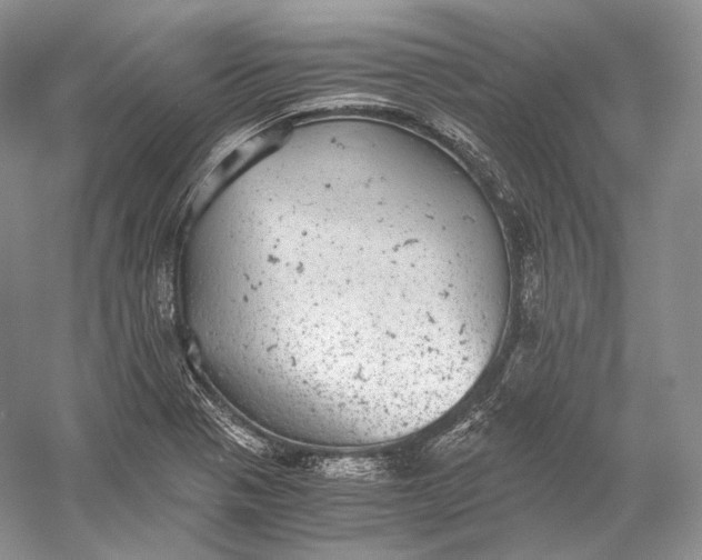 X0000058781321200510171243